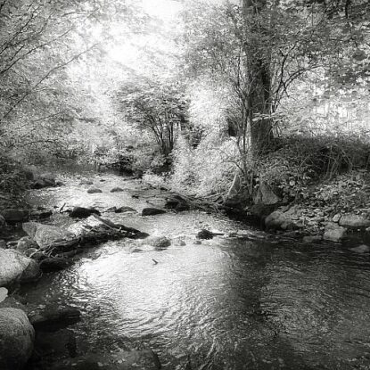 Black_white_landscape_photography_Danuta_Antas_1