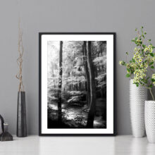 landscape2010_15ab