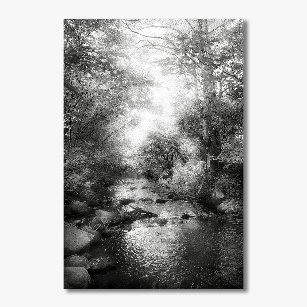 Mój Raj - Strumień fotografia artystyczna pejzaże zdjęcia do dekoracji wnętrz hoteli mój raj, strumień, fotografia artystyczna, zdjęcia do dekoracji wnętrz hoteli, zdjęcia do salonu