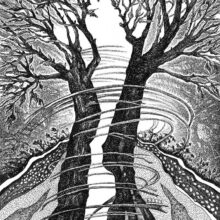thorn_apart_1