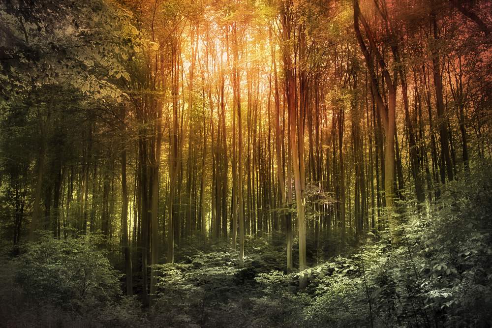 Awakening-Landscape-Photography-1