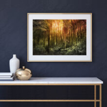 Awakening Landscape Photography prints