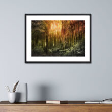 Awakening Landscape Photography prints