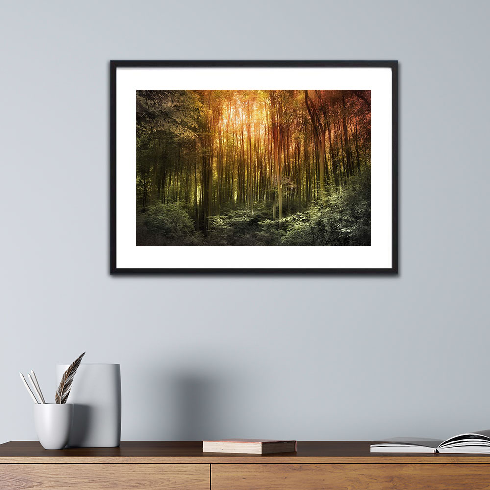 Awakening Landscape Photography prints