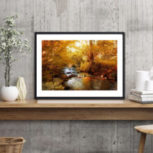 Golden-Fall-1a