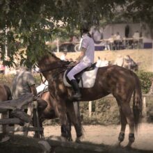 Horse-and-Rider-1