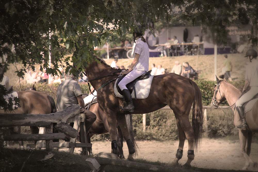 Horse-and-Rider-1
