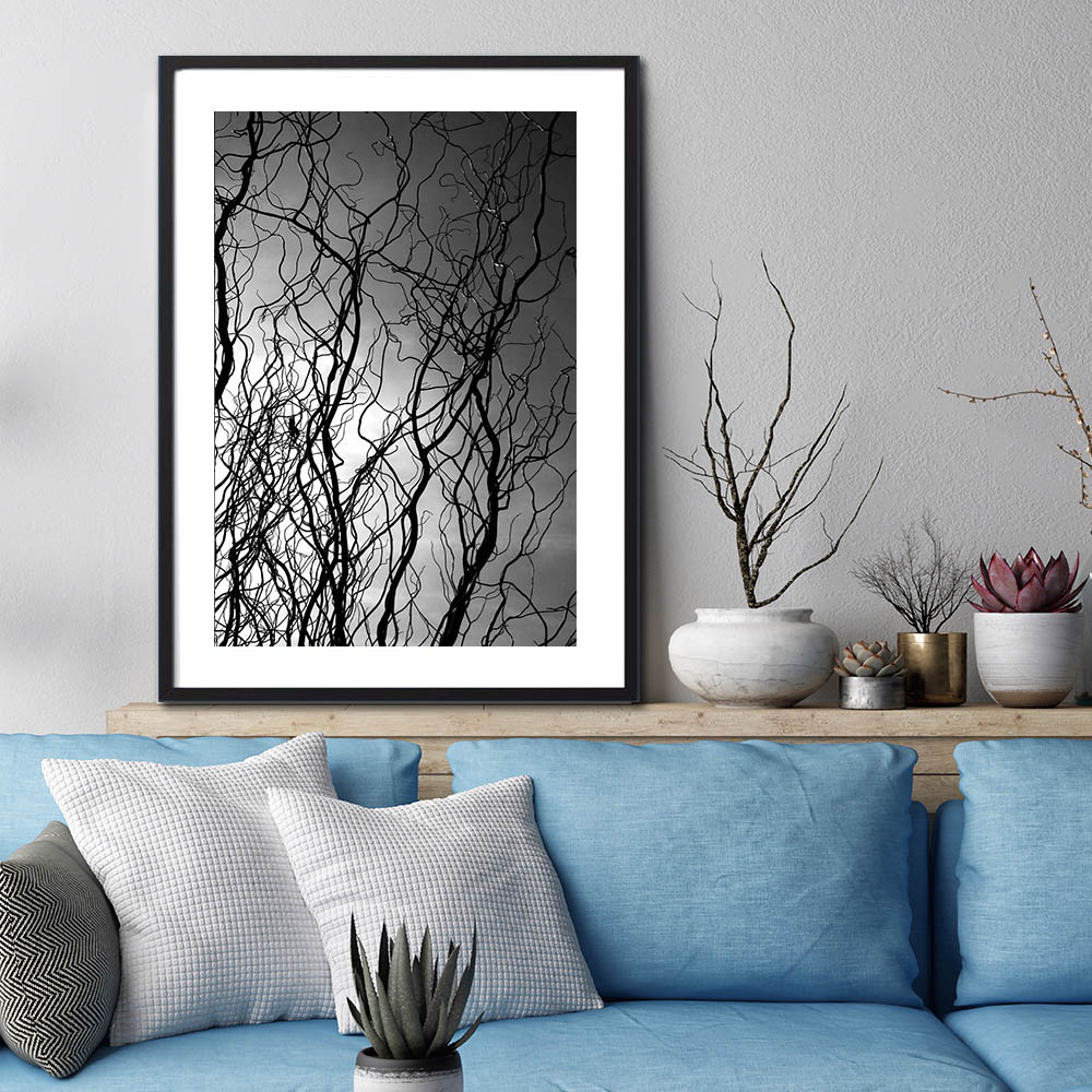 Willow Tree Abstract Photography prints