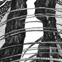 thorn_apart_3