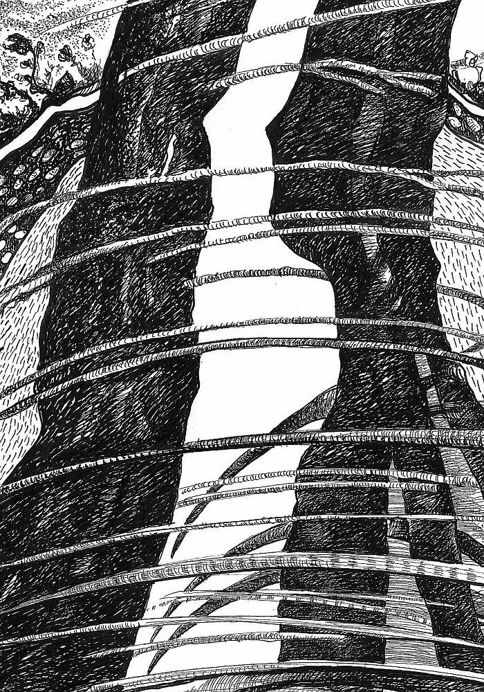 thorn_apart_3