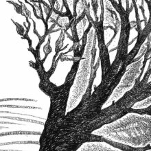 thorn_apart_4