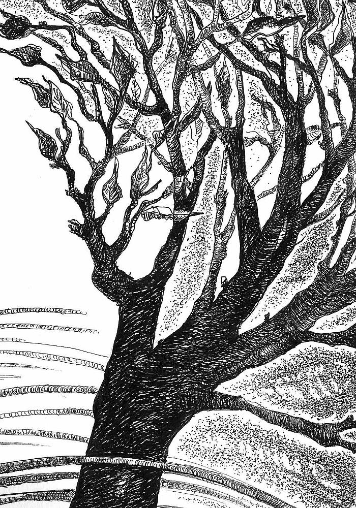 thorn_apart_4